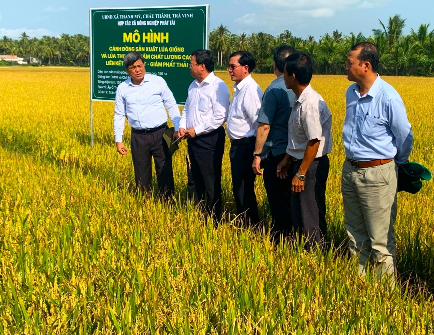 Đoàn công tác Bộ Nông nghiệp và PTNT làm việc tại HTX sử dụng mô hình NPK Phú Mỹ
