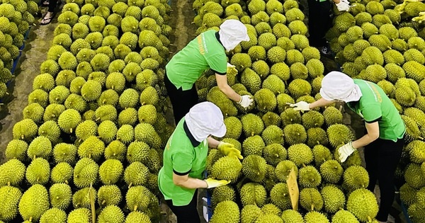 Tin tức kinh tế ngày 21/3: Tin tức kinh tế ngày 21/3: