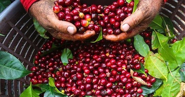 Tin tức kinh tế ngày 2/4: Lợi nhuận ngân hàng dự báo tăng mạnh trong quý 1 Tin tức kinh tế ngày 2/4: Lợi nhuận ngân hàng dự báo tăng mạnh trong quý 1