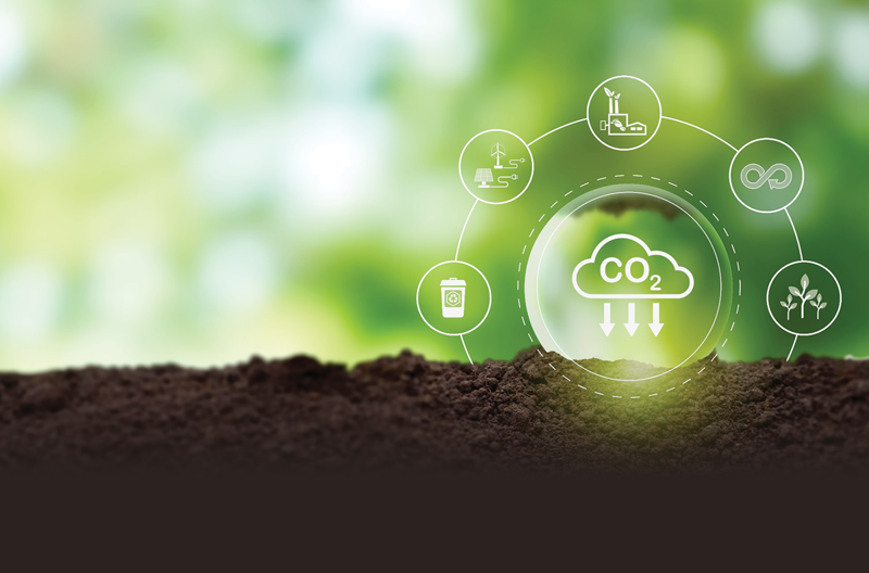Lộ trình để Việt Nam bán tín chỉ carbon ra thế giới Lộ trình để Việt Nam bán tín chỉ carbon ra thế giới