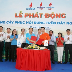 Petrovietnam phát động trồng cây phục hồi rừng trên đất ngập nước