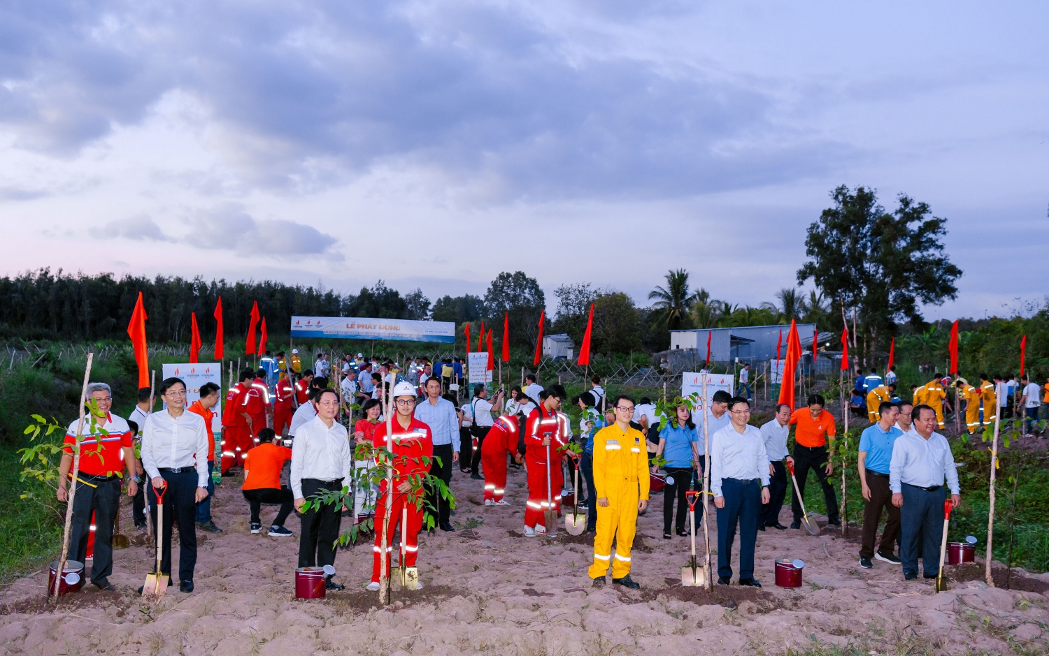 [Chùm ảnh] Petrovietnam phát động “Phục hồi rừng trên đất ngập nước