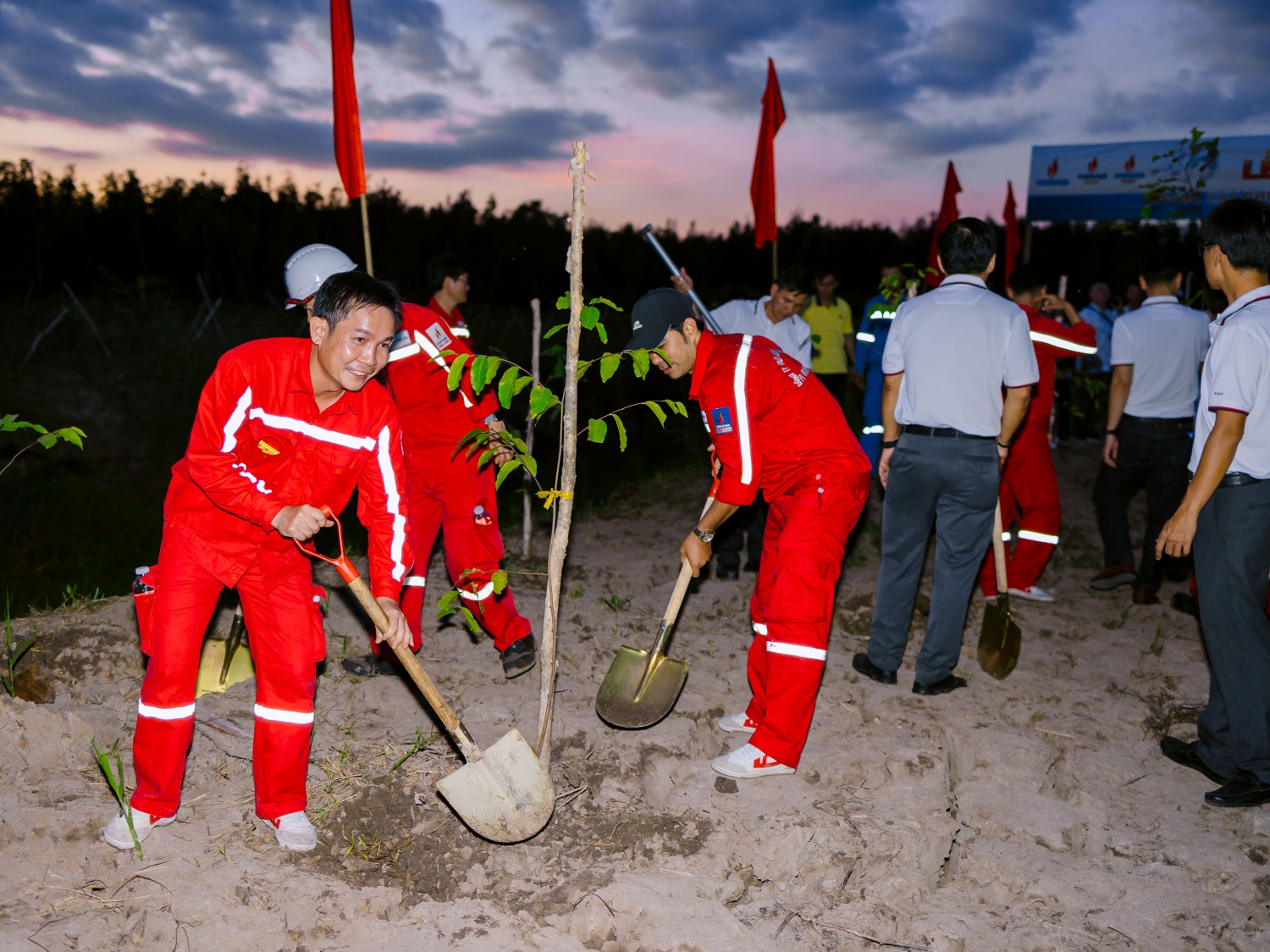 [Chùm ảnh] Petrovietnam phát động “Phục hồi rừng trên đất ngập nước