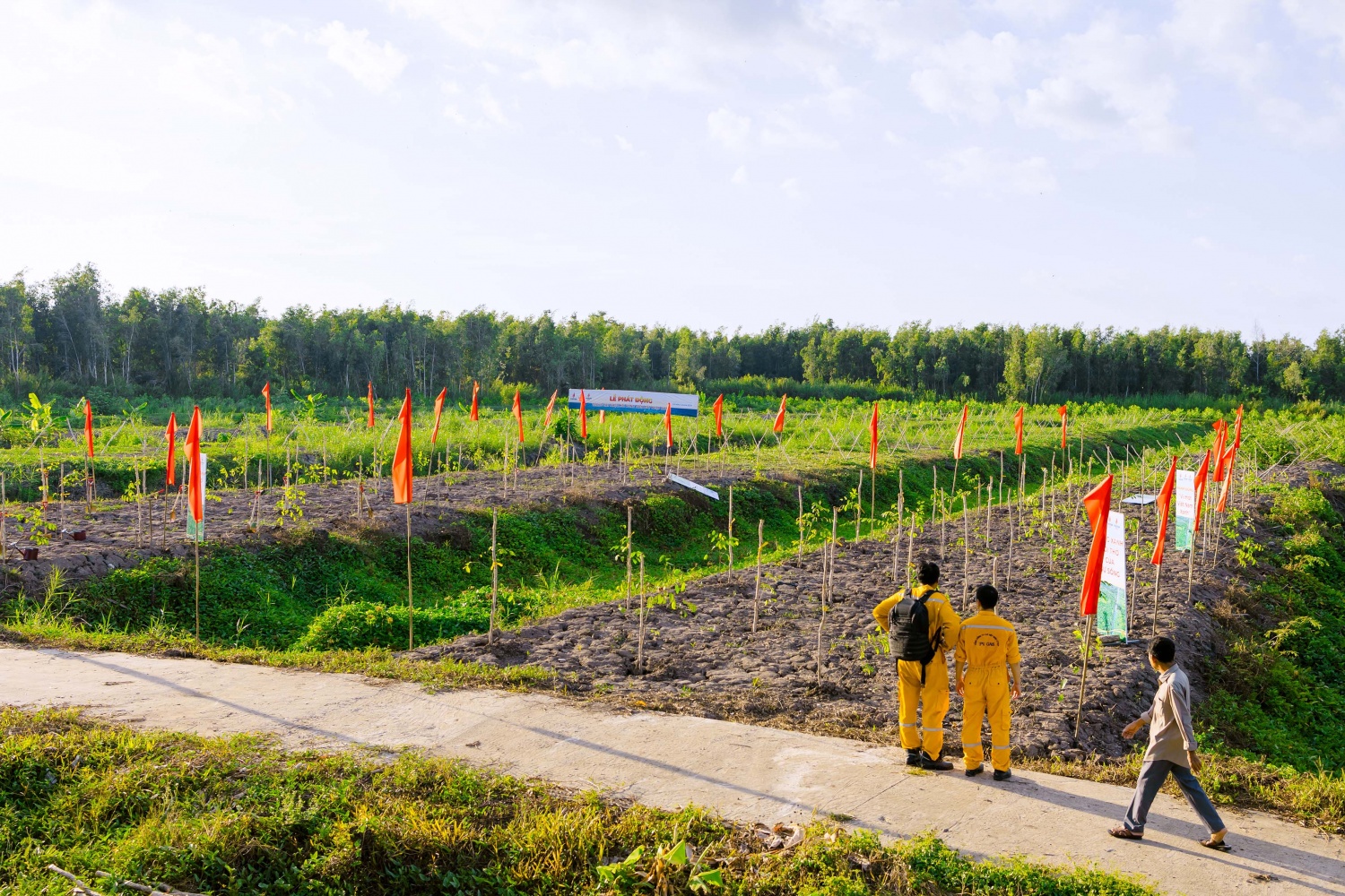 [Chùm ảnh] Petrovietnam phát động “Phục hồi rừng trên đất ngập nước