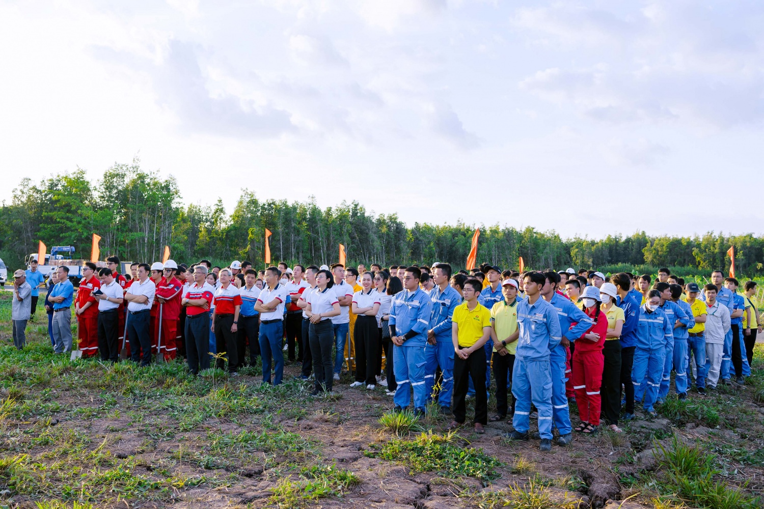 [Chùm ảnh] Petrovietnam phát động “Phục hồi rừng trên đất ngập nước