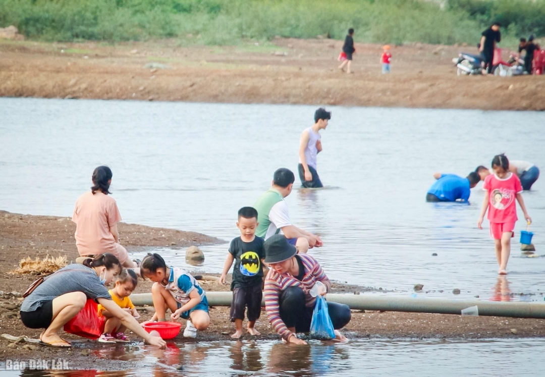 Nhộn nhịp hồ Ea Kao mùa nước cạn