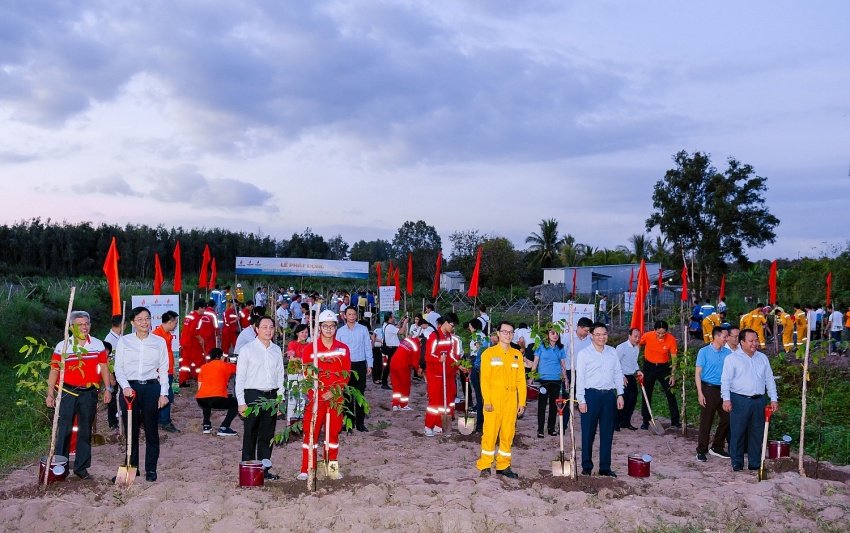 Petrovietnam phát động trồng cây phục hồi rừng trên đất ngập nước