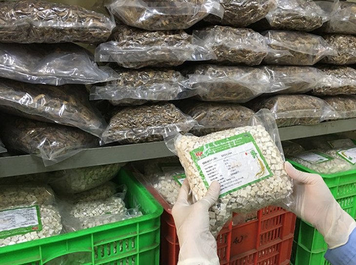 Thủ tướng chỉ đạo tháo gỡ khó khăn trong xuất khẩu dược liệu
