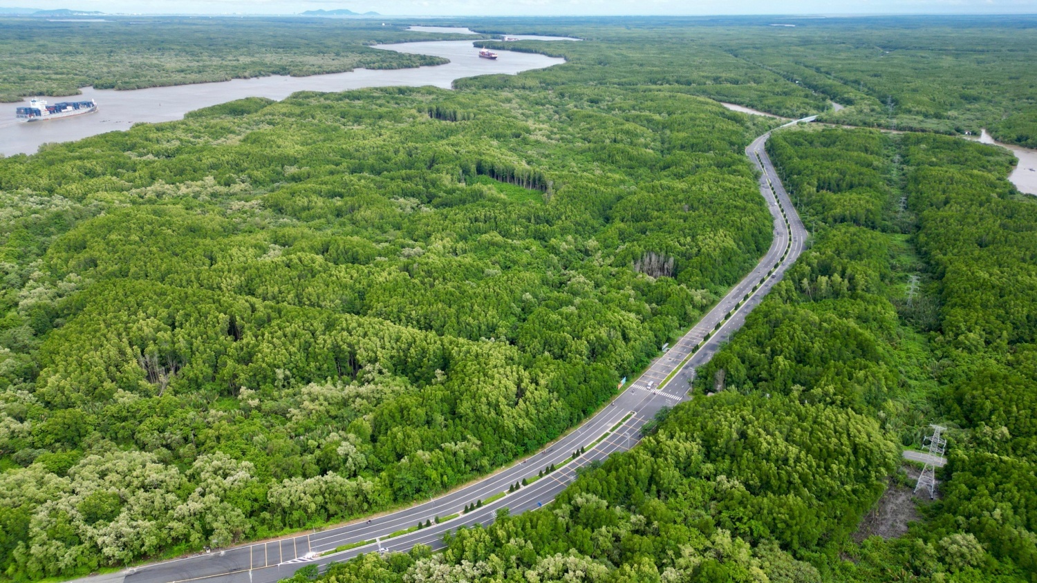 Việt Nam có tiềm năng tín chỉ carbon dồi dào, giá trị khoảng 300 triệu USD/năm
