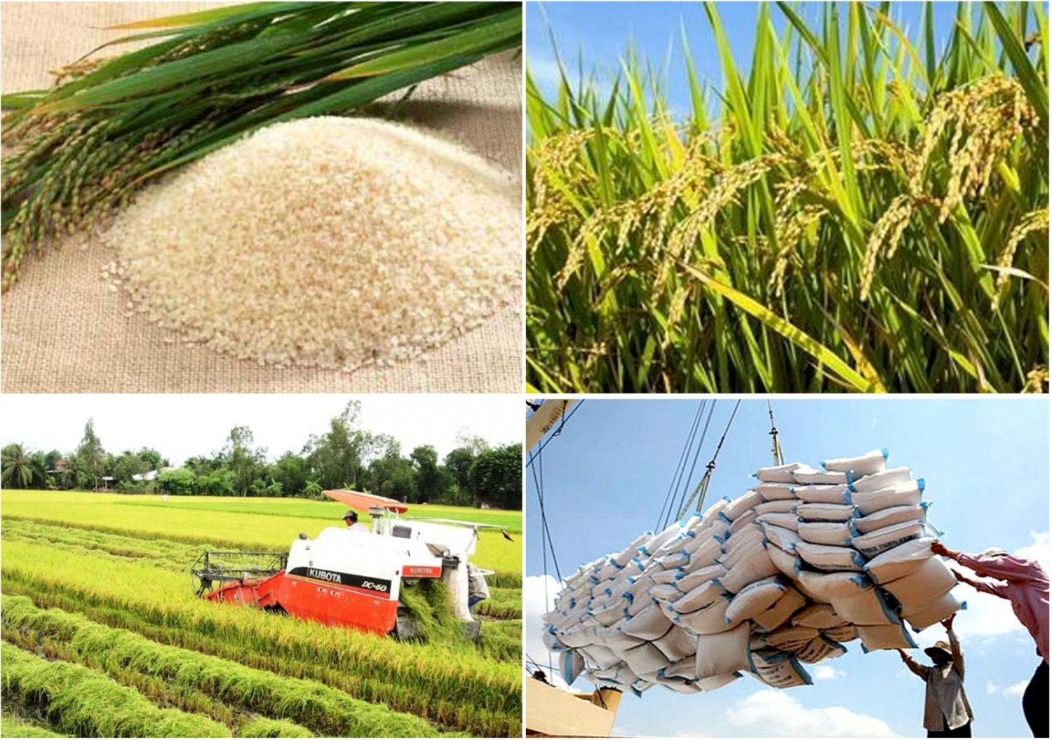 Tin tức kinh tế ngày 17/5: Chính thức thanh tra hoạt động kinh doanh vàng Tin tức kinh tế ngày 17/5: Chính thức thanh tra hoạt động kinh doanh vàng
