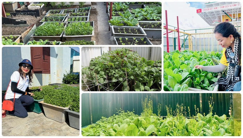 Xanh hóa Trường Sa – Bằng trái tim yêu thương của người Dầu khí “Xanh hóa Trường Sa” bằng trái tim yêu thương của người Dầu khí