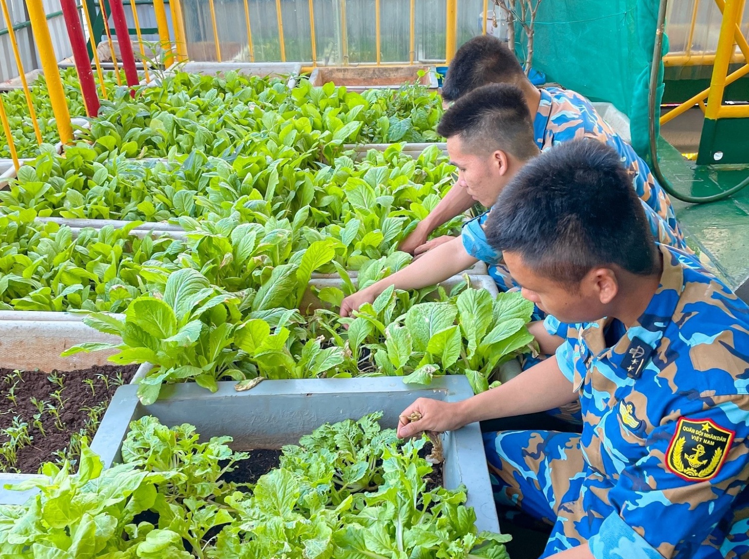 Đoàn Vietsovpetro thăm cán bộ chiến sĩ, nhân dân quần đảo Trường Sa và nhà giàn DK1