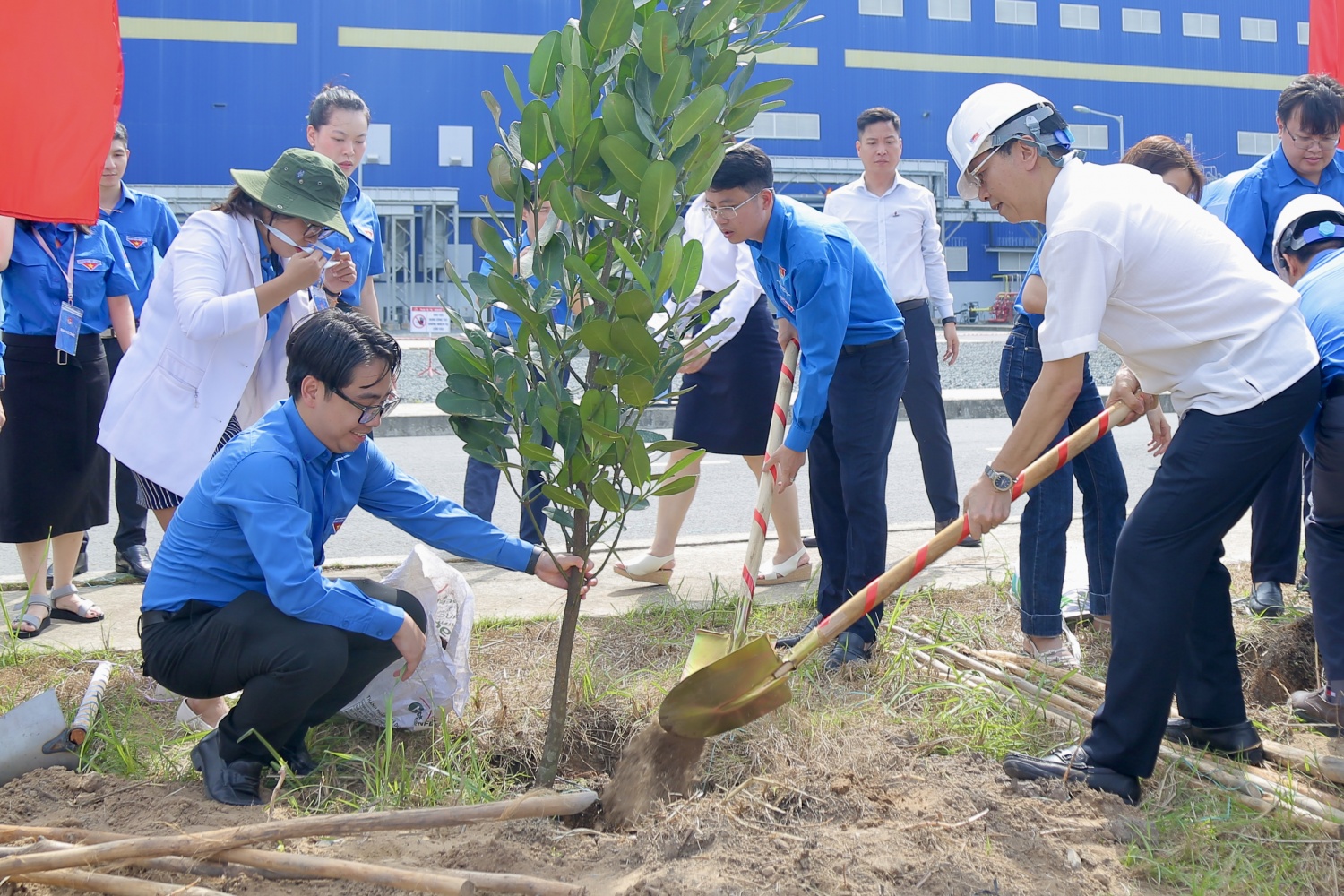 Tuổi trẻ Dầu khí trồng cây phủ xanh Nhà máy Nhiệt điện Sông Hậu 1