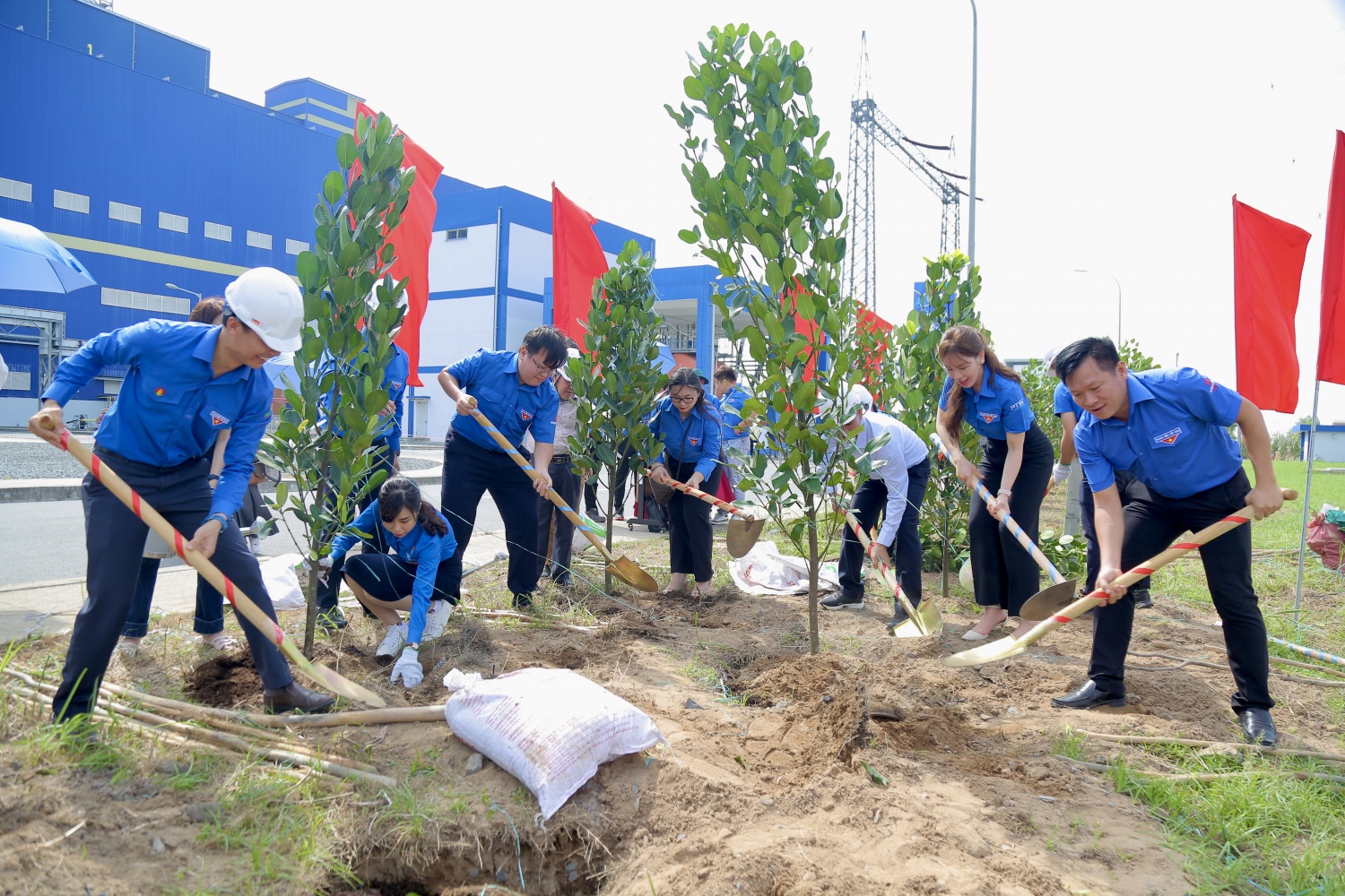 Tuổi trẻ Dầu khí trồng cây phủ xanh Nhà máy Nhiệt điện Sông Hậu 1