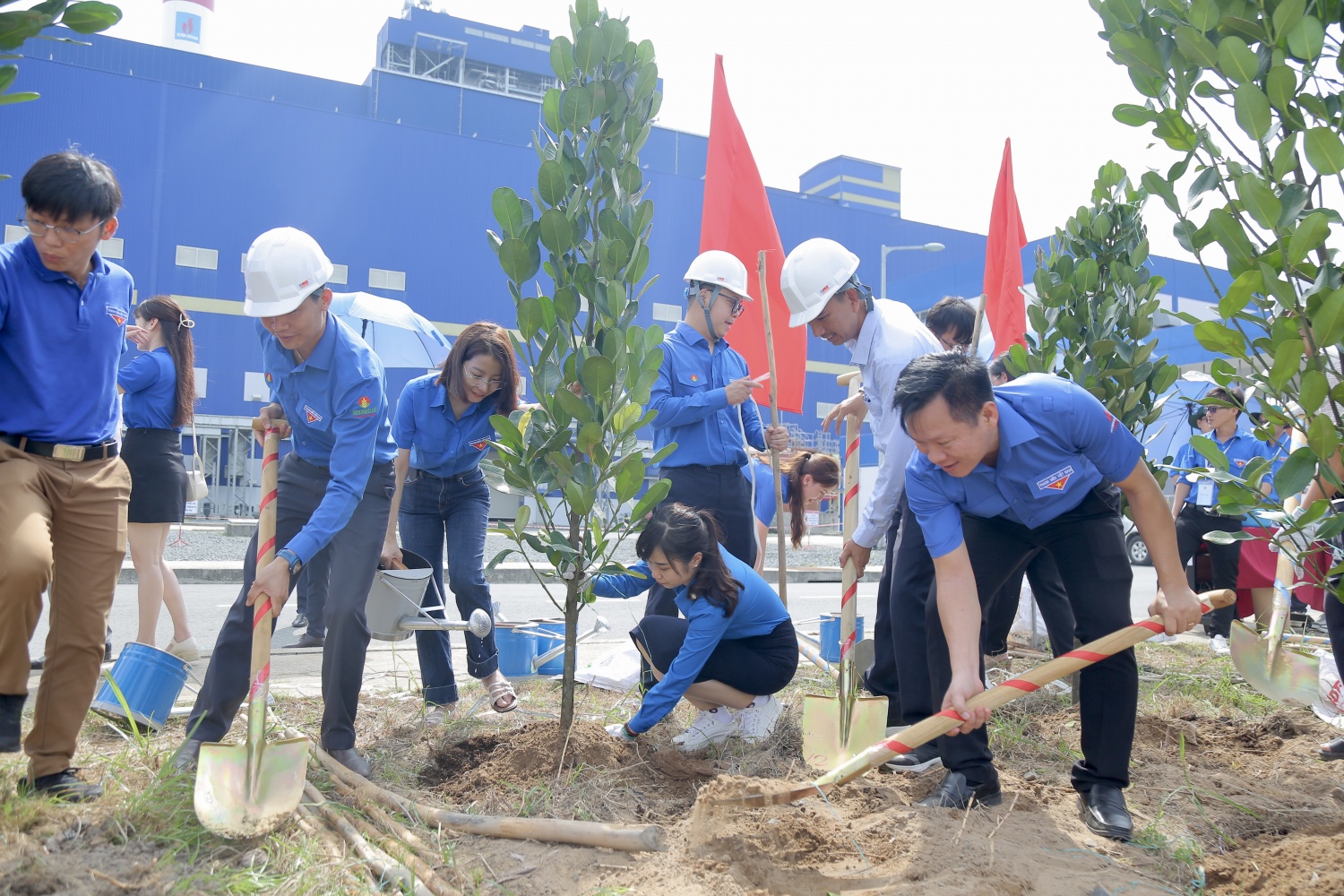 Tuổi trẻ Dầu khí trồng cây phủ xanh Nhà máy Nhiệt điện Sông Hậu 1