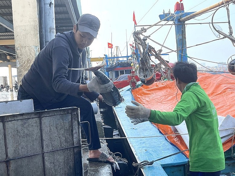 Thời điểm vàng để gỡ Thời điểm vàng để gỡ