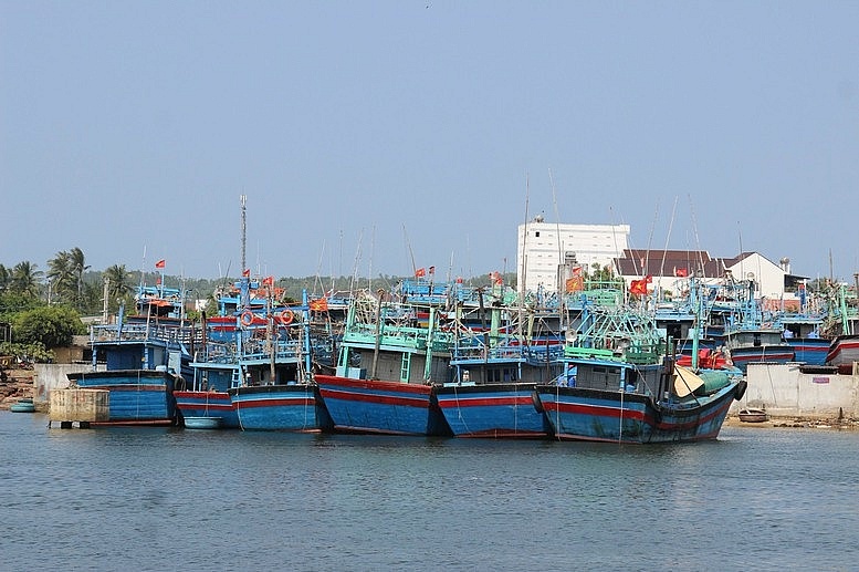 Bình Định sẽ thu hồi giấy phép tàu cá không lắp thiết bị giám sát hành trình Bình Định sẽ thu hồi giấy phép tàu cá không lắp thiết bị giám sát hành trình