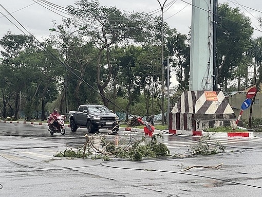 [Chùm ảnh] Hà Nội tan hoang sau bão Yagi