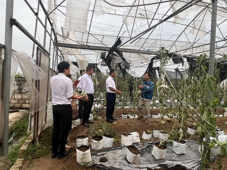 Agribank tổ chức các đoàn công tác nắm bắt tình hình, khắc phục thiệt hại cơn bão số 3