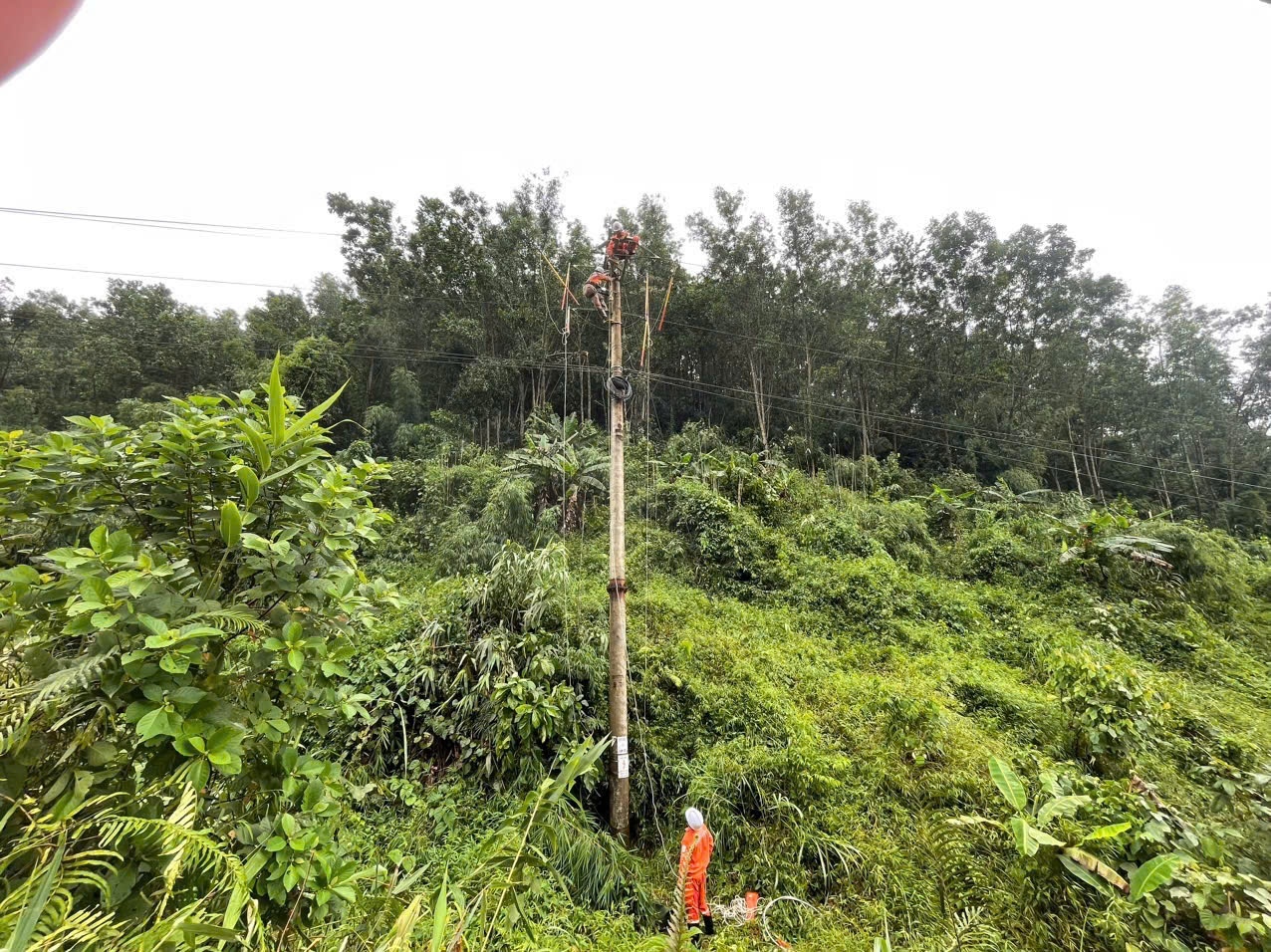 245 kỹ sư, công nhân EVNCPC sẽ hỗ trợ EVNNPC khắc phục sự cố lưới điện do bão số 3 245 kỹ sư, công nhân EVNCPC sẽ hỗ trợ EVNNPC khắc phục sự cố lưới điện do bão số 3