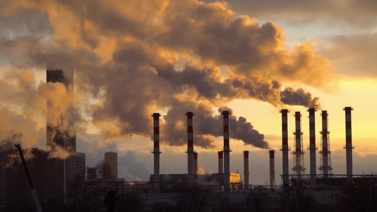 Làm sao để khai thác tín chỉ carbon hiệu quả? Làm sao để khai thác tín chỉ carbon hiệu quả?