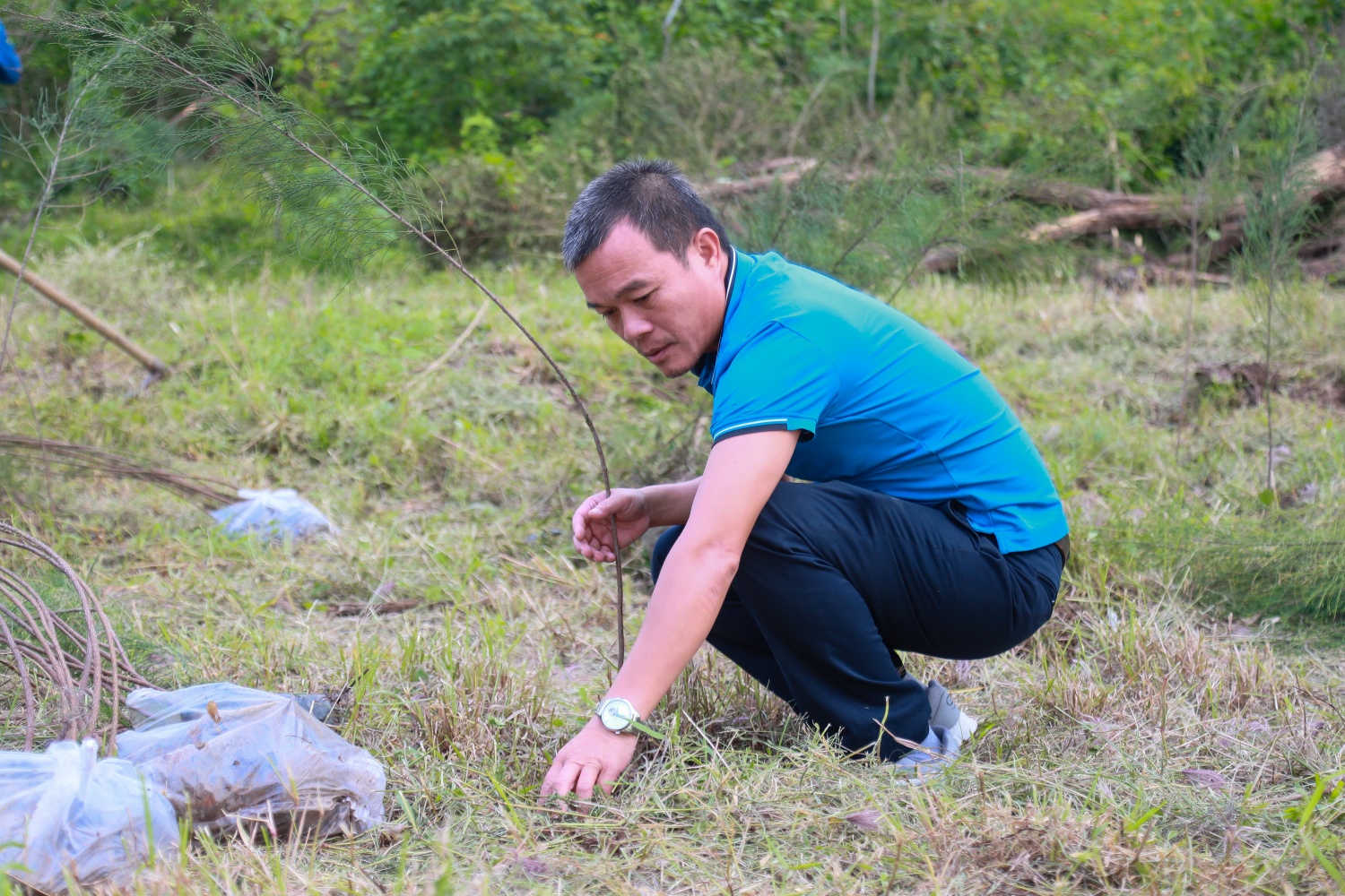 Ban Bảo dưỡng sửa chữa và Văn phòng BSR phát động trồng 2.500 cây xanh tại NMLD Dung Quất