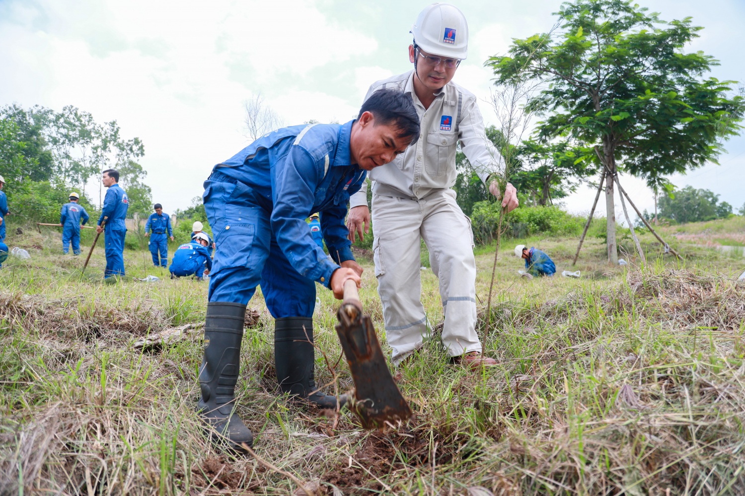 Ban Bảo dưỡng sửa chữa và Văn phòng BSR phát động trồng 2.500 cây xanh tại NMLD Dung Quất