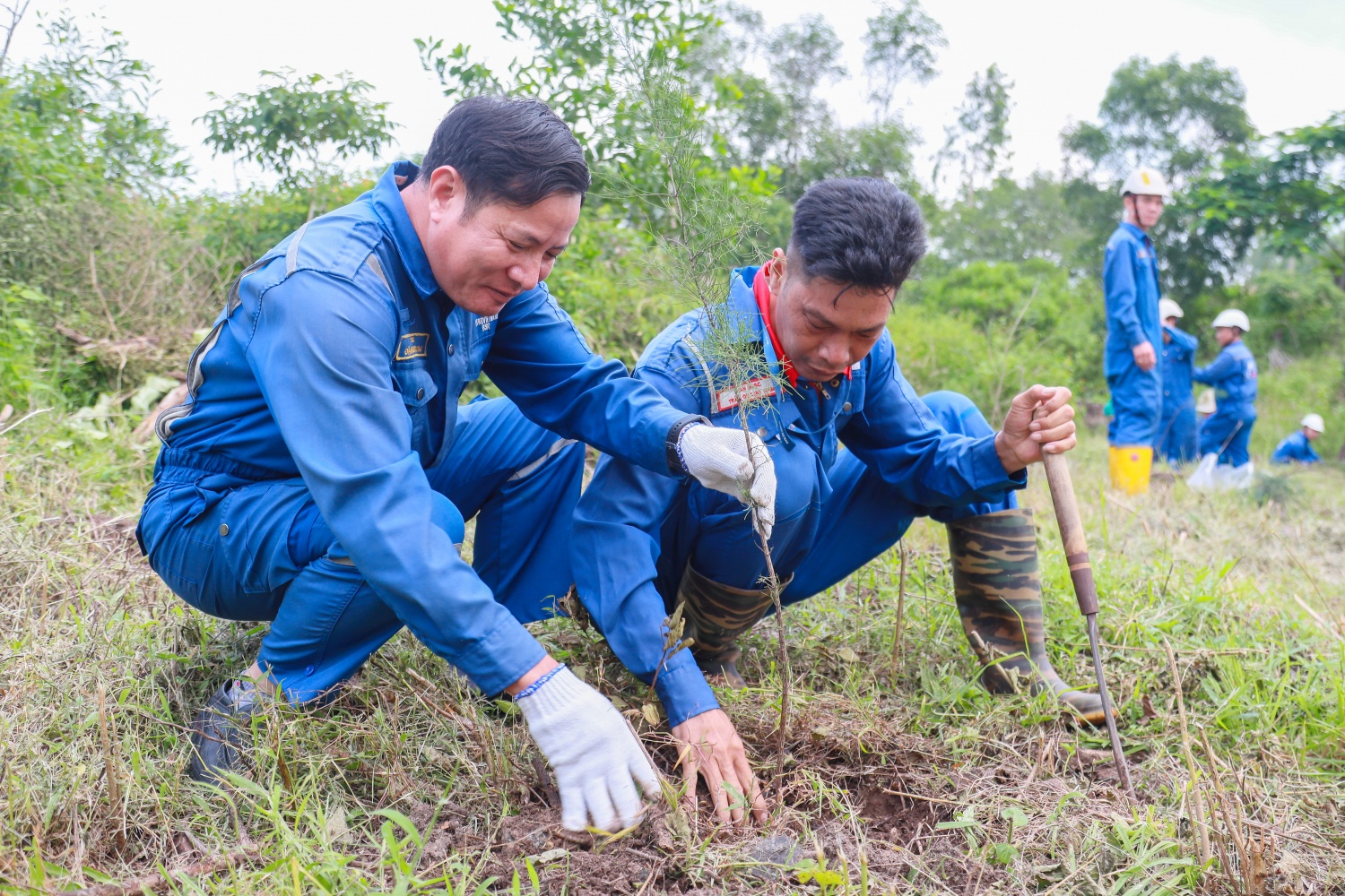 Ban Bảo dưỡng sửa chữa và Văn phòng BSR phát động trồng 2.500 cây xanh tại NMLD Dung Quất