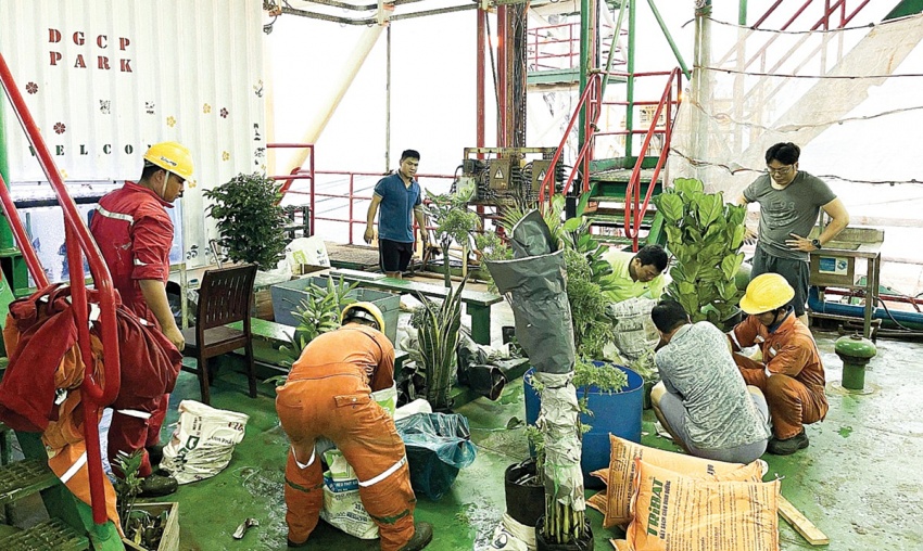 Vietsovpetro - Gieo màu xanh trên những công trình biển Vietsovpetro - Gieo màu xanh trên những công trình biển