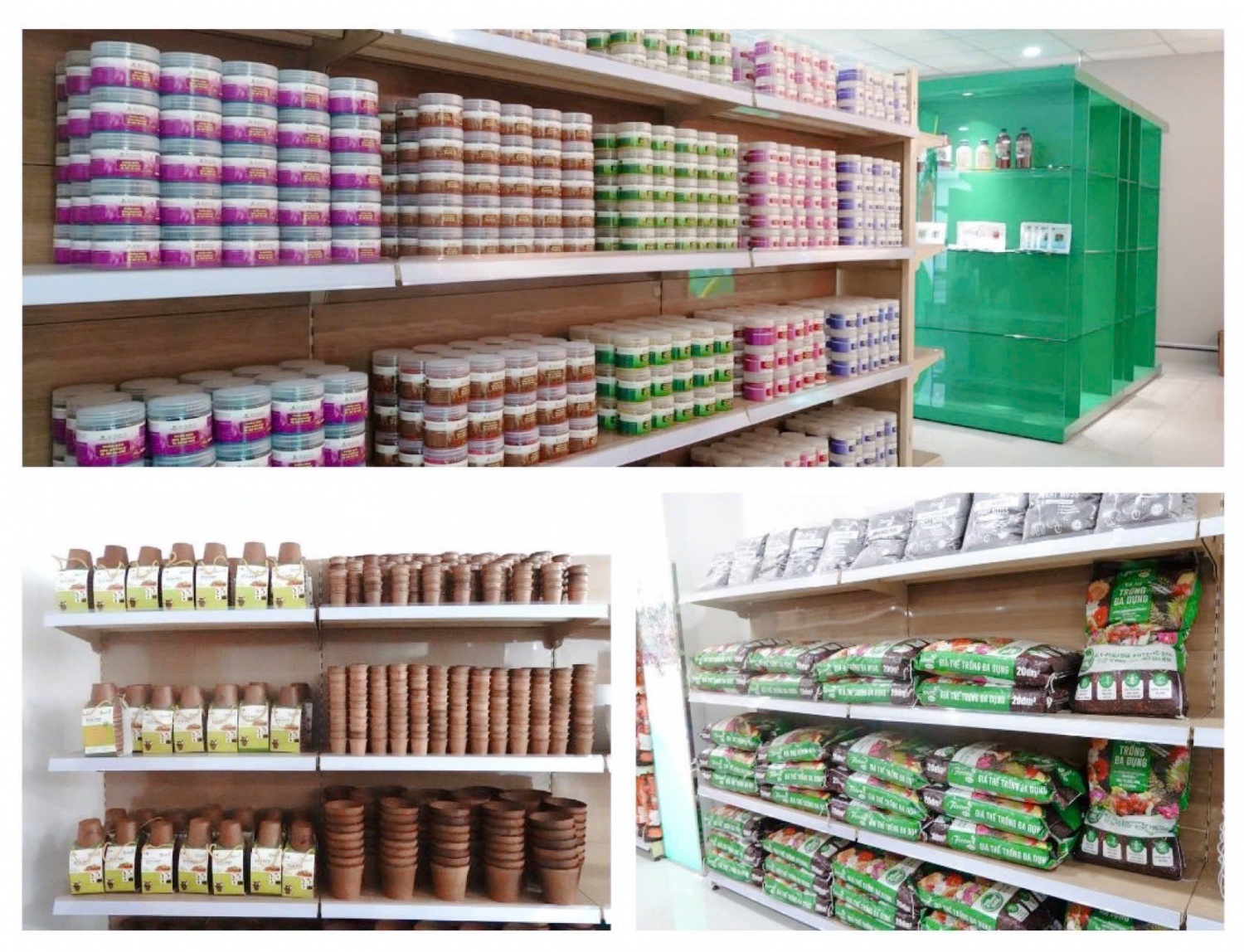 Phân bón Cà Mau bắt nhịp xu hướng nông nghiệp đô thị Phân bón Cà Mau bắt nhịp xu hướng nông nghiệp đô thị 1
