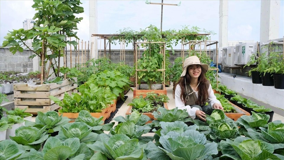 Phân bón Cà Mau bắt nhịp xu hướng nông nghiệp đô thị Phân bón Cà Mau bắt nhịp xu hướng nông nghiệp đô thị