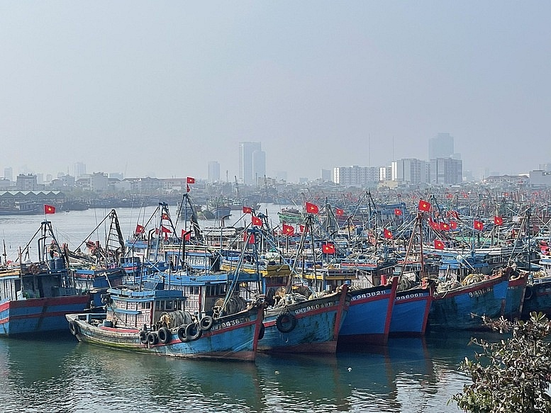 Thiếu hụt nguồn cung từ Nga, Ấn Độ phải mua dầu ở đâu? Thiếu hụt nguồn cung từ Nga, Ấn Độ phải mua dầu ở đâu?