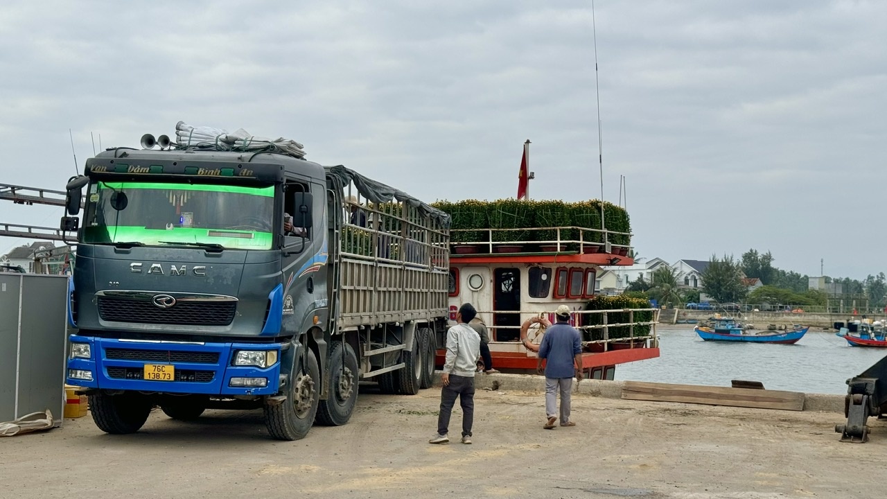Liên tục những chuyến xe chở hàng để đưa hoa ra đảo cập bến cảng Sa Kỳ.