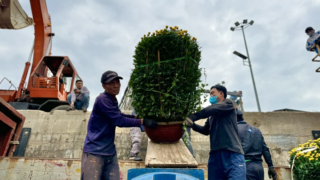 Lãnh đạo Ban Quản lý (BQL) cảng Sa Kỳ cho biết, trong những ngày cao điểm của dịp Tết, BQL cảng cũng đã bố trí từ 6 – 12 chuyến tàu ra vào liên tục. Đồng thời, tuỳ theo nhu cầu của người dân, BQL cũng sẽ linh động bố trí tàu để người dân về nhà ăn Tết.