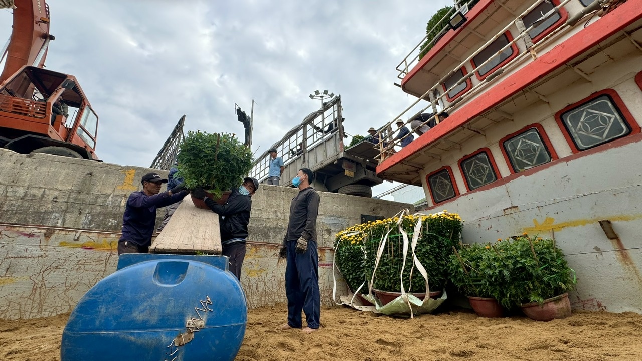 Bà Phạm Thị Hương – Chủ tịch UBND huyện Lý Sơn cho biết, hàng hóa vận chuyển ra đảo năm nay có nhiều chủng loại, phong phú. Để không để xảy ra tình trạng đầu cơ, trục lợi trong dịp Tết, huyện đã giao cơ quan chức năng nắm bắt tình hình buôn bán và niêm yế