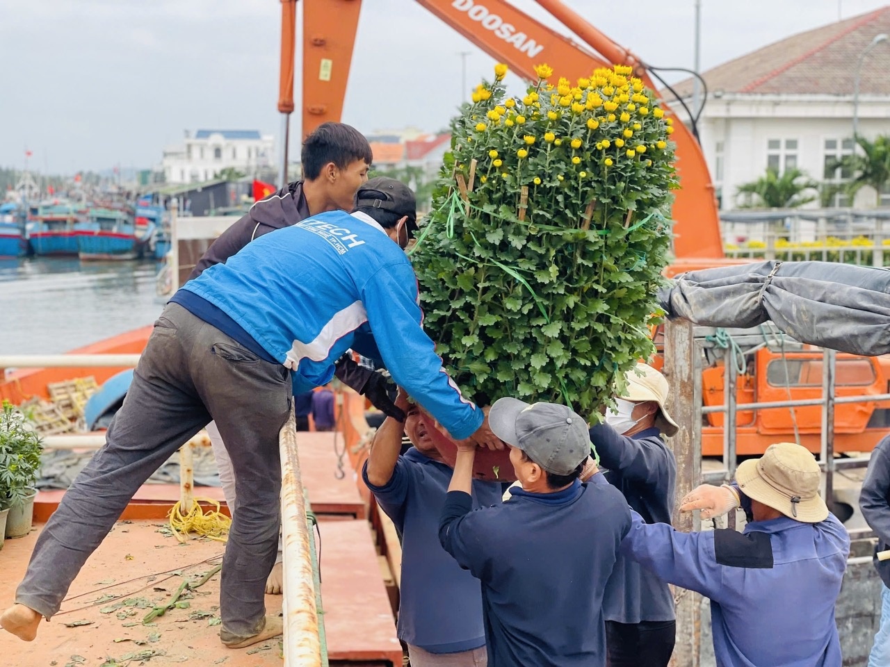 Ngoài các loại hoa cúc, quất, những chuyến tàu ngày cuối năm còn chở thêm hoa đào, hoa mai cùng nhiều hàng hoá, thực phẩm để cung ứng cho hơn 22.000 người dân đảo tiền tiêu.