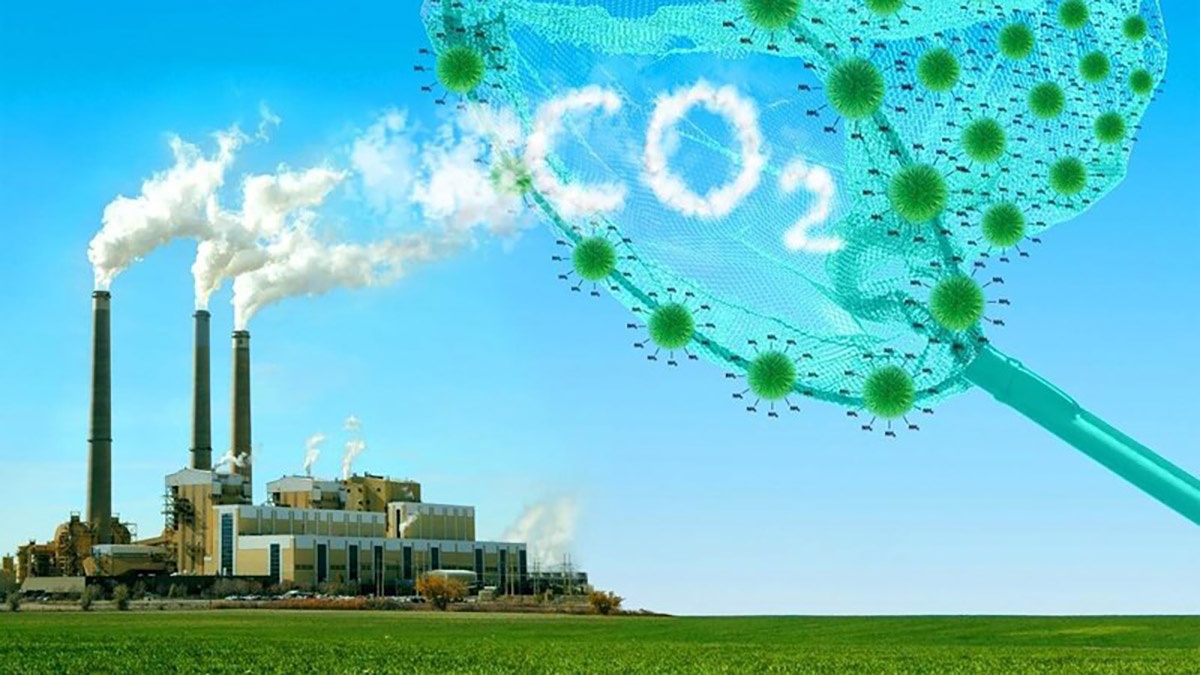 Sở Giao dịch chứng khoán Hà Nội đảm nhiệm cung ứng dịch vụ sàn giao dịch carbon Sở Giao dịch chứng khoán Hà Nội đảm nhiệm cung ứng dịch vụ sàn giao dịch carbon