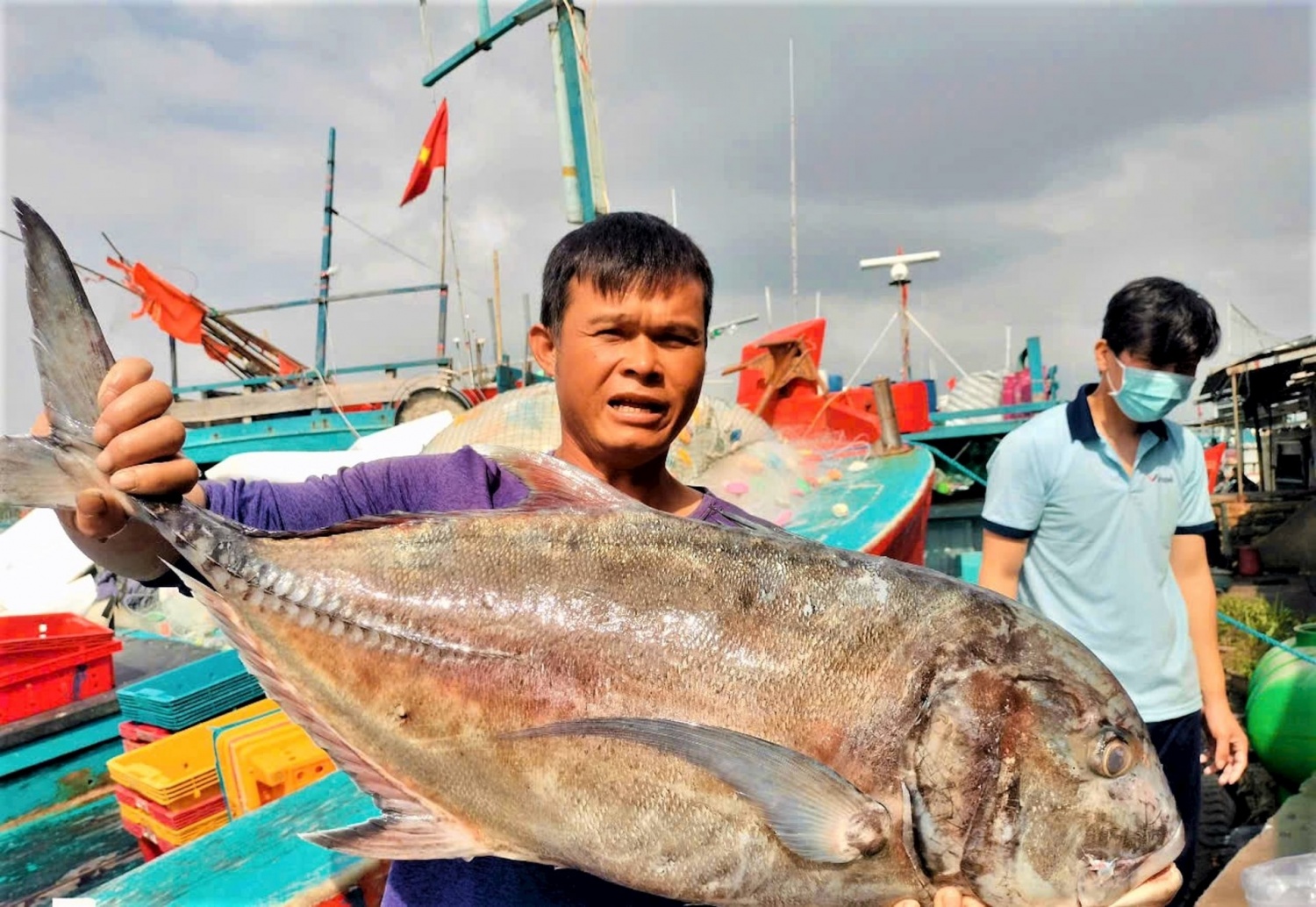 Quảng Ngãi: Cảng cá Sa Kỳ nhộn nhịp đón 
