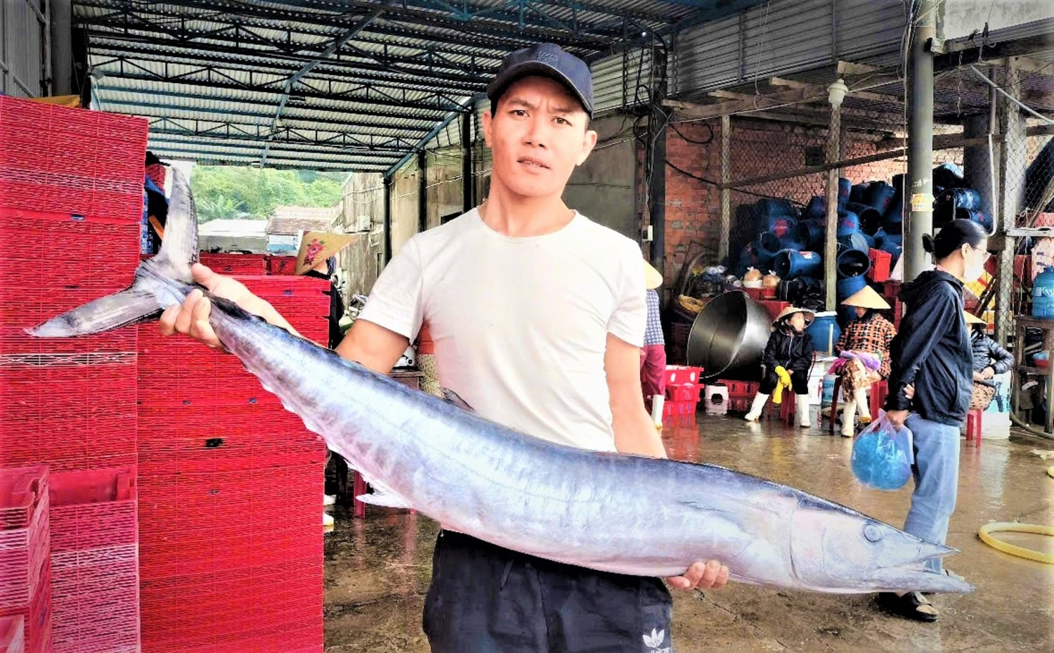 Quảng Ngãi: Cảng cá Sa Kỳ nhộn nhịp đón 
