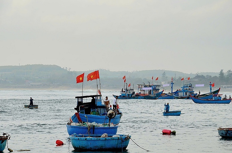 Quảng Ngãi tập trung cao điểm chống khai thác IUU
