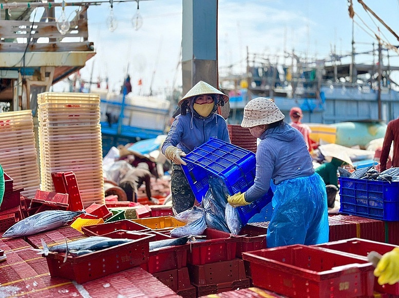 Quảng Ngãi tập trung cao điểm chống khai thác IUU