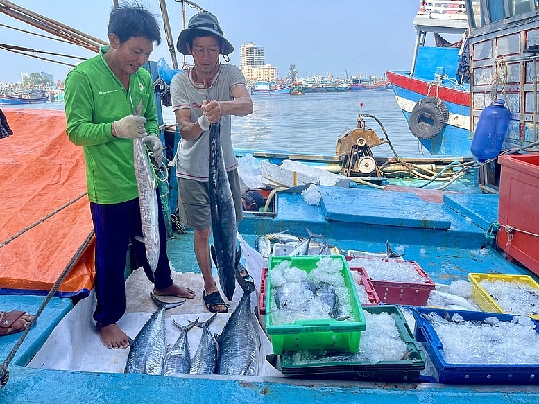 Đà Nẵng cơ bản khắc phục các tồn tại trong chống khai thác IUU