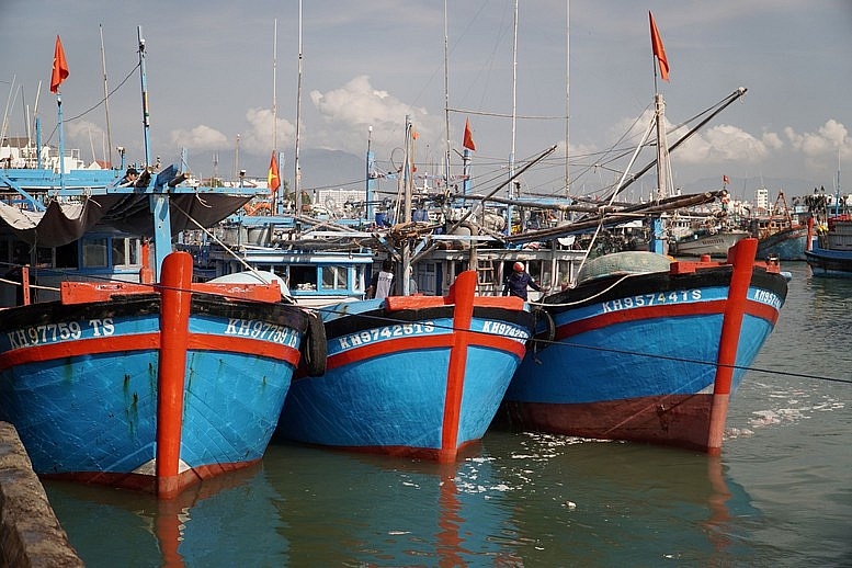 Khánh Hòa: Không cho xuất bến các tàu cá không đủ điều kiện Khánh Hòa: Không cho xuất bến các tàu cá không đủ điều kiện