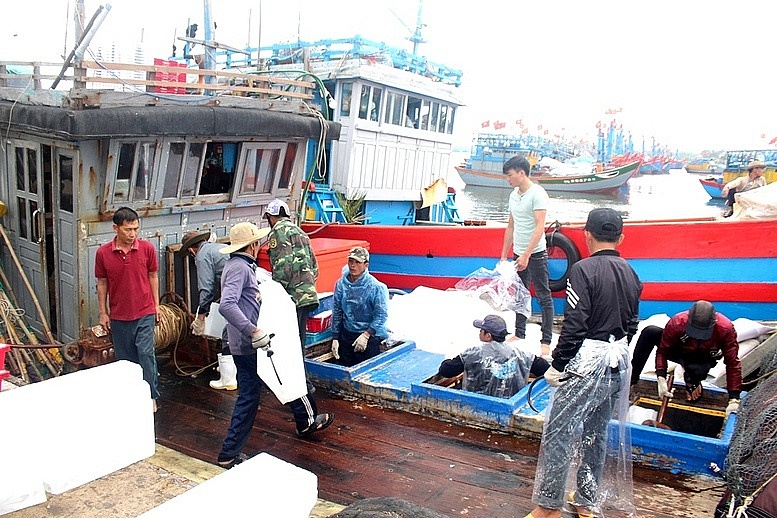 TP. Huế: Xử lý triệt để tàu cá bốc dỡ hàng tại cảng chưa được chỉ định TP Huế: Xử lý triệt để tàu cá bốc dỡ hàng tại cảng chưa được chỉ định