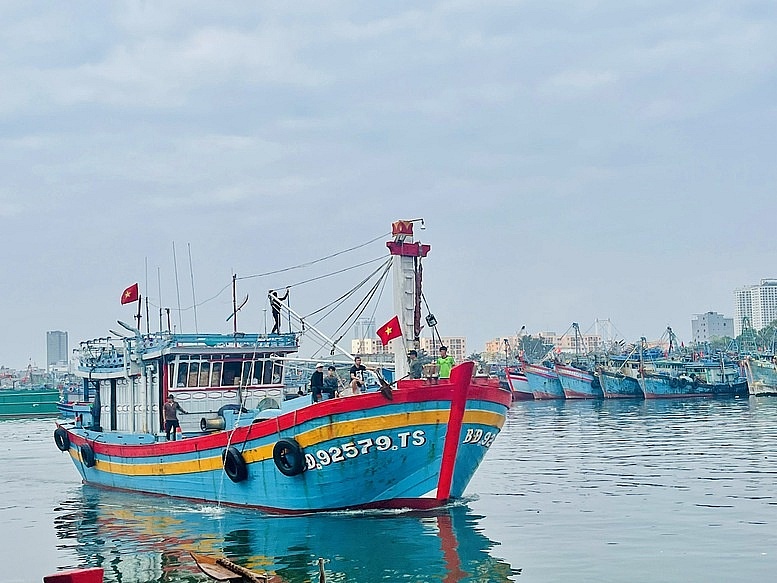 Đà Nẵng siết chặt quản lý 147 tàu cá chưa đủ điều kiện hoạt động