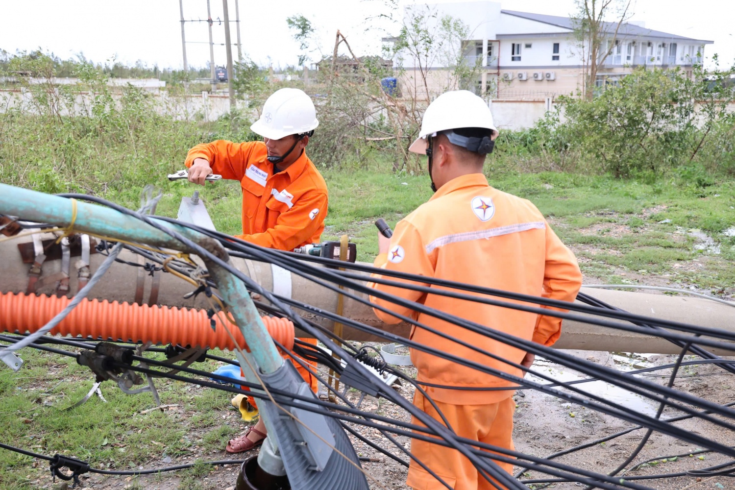 Bí thư Tỉnh ủy Quảng Trị Lê Ngọc Quang thăm, động viên công nhân, kỹ sư EVNCPC khắc phục hậu quả bão số 10 Bí thư Tỉnh ủy Quảng Trị Lê Ngọc Quang thăm, động viên công nhân, kỹ sư EVNCPC khắc phục hậu quả bão số 10