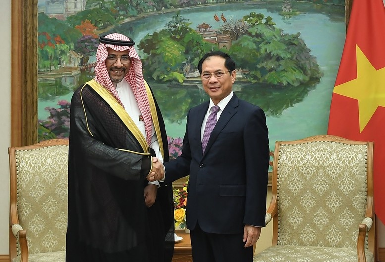 Việt Nam mong muốn Saudi Arabia thúc đẩy cung cấp dầu thô, khí hoá lỏng ổn định, lâu dài Việt Nam mong muốn Saudi Arabia thúc đẩy cung cấp dầu thô, khí hoá lỏng ổn định, lâu dài