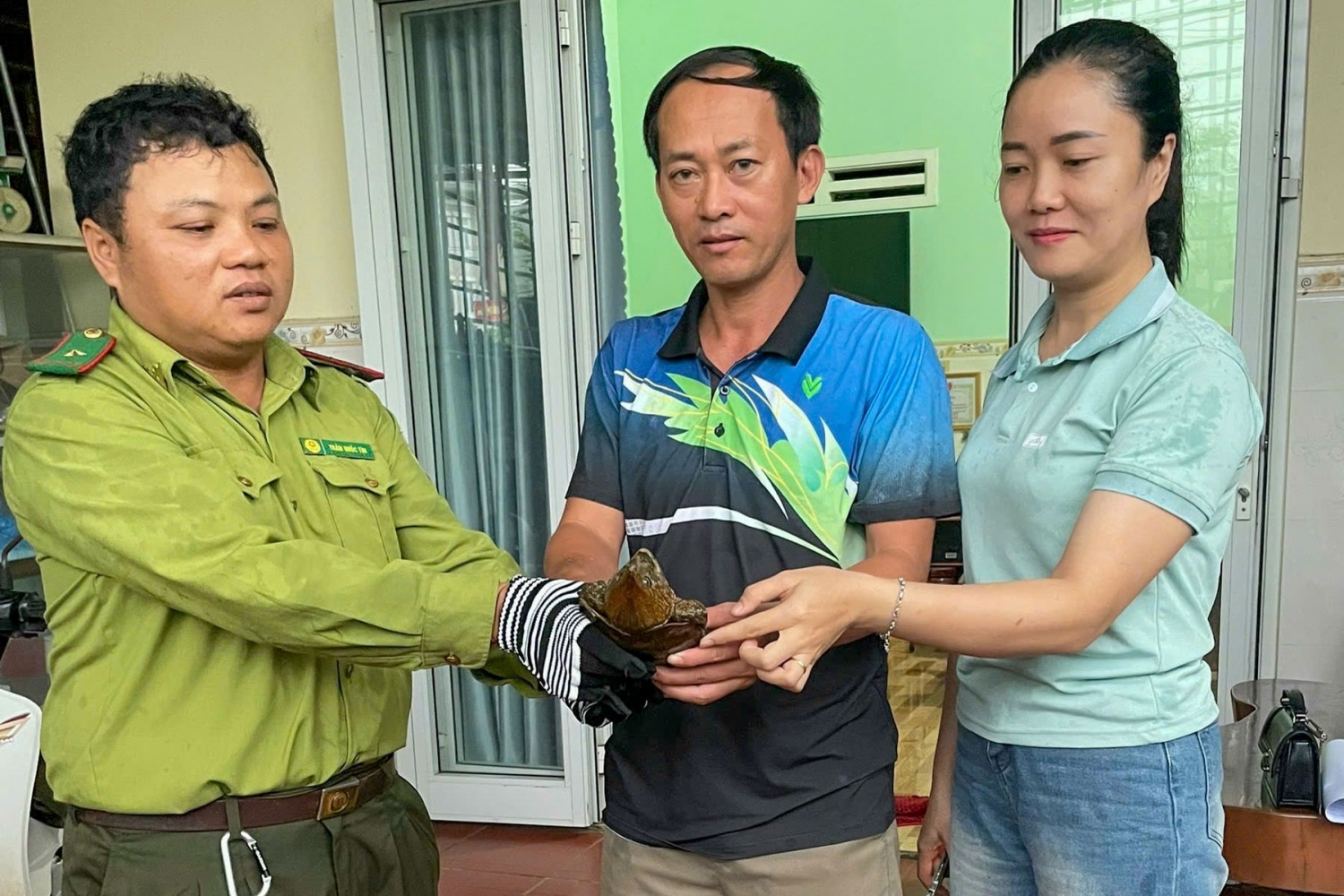 Người dân trao lại cá thể rùa đầu to quý hiếm cho lực lượng chức năng. Người dân trao lại cá thể rùa đầu to quý hiếm cho lực lượng chức năng.