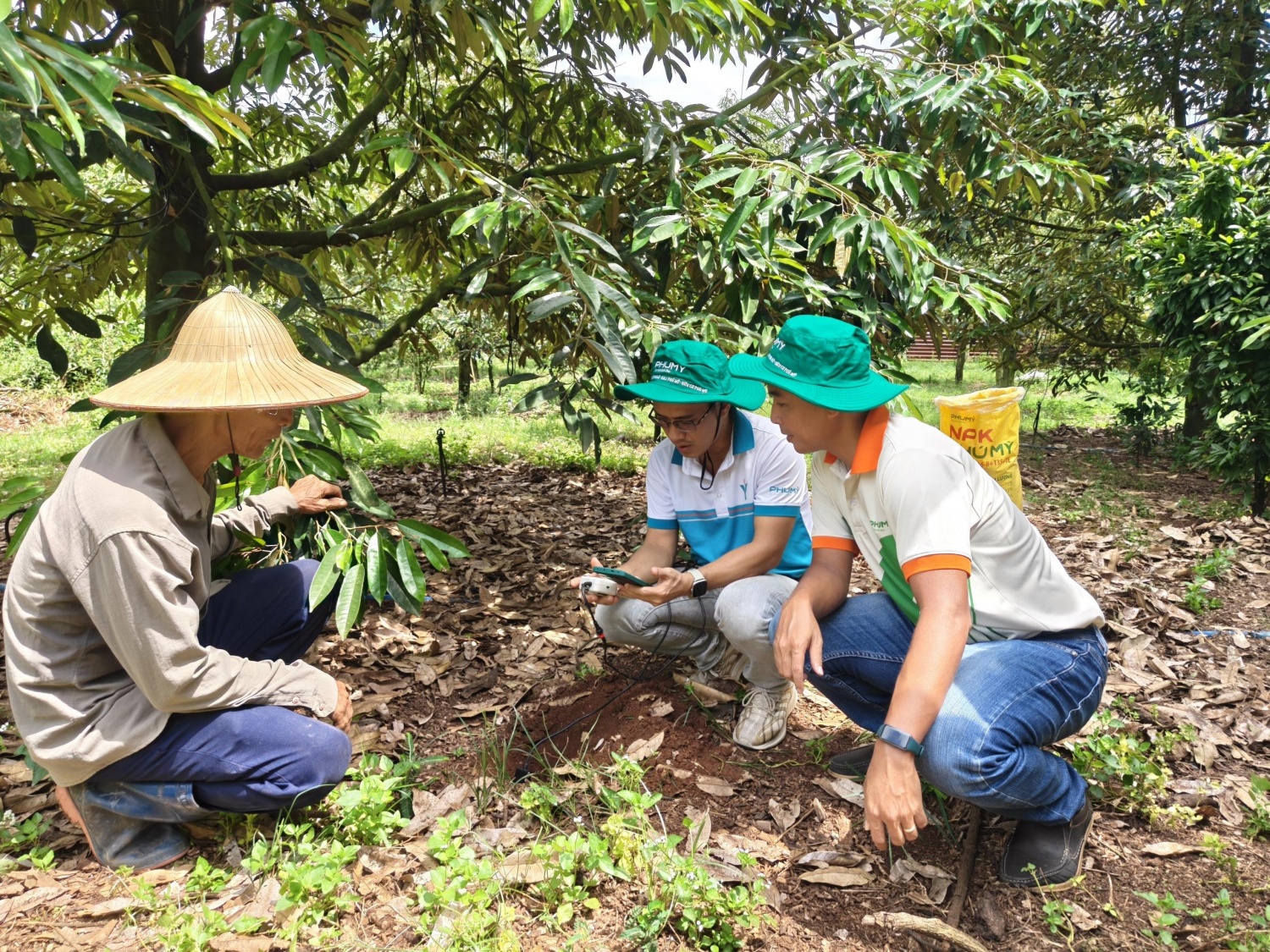 PVFCCo - Phú Mỹ hợp tác cùng enfarm: Bước tiến lớn trong chuyển đổi số nông nghiệp Việt Nam PVFCCo - Phú Mỹ hợp tác cùng Enfarm: Bước tiến lớn trong chuyển đổi số nông nghiệp Việt Nam