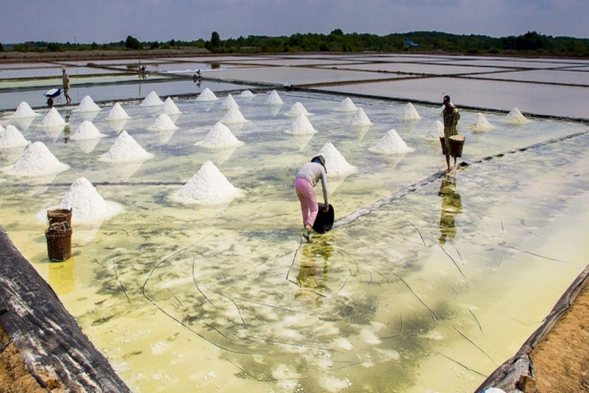 TP.HCM phát động Cuộc thi viết về Nghề, Làng nghề truyền thống 2025: Tôn vinh giá trị văn hóa, thúc đẩy kinh tế nông thôn TP HCM phát động Cuộc thi viết về Nghề, Làng nghề truyền thống 2025